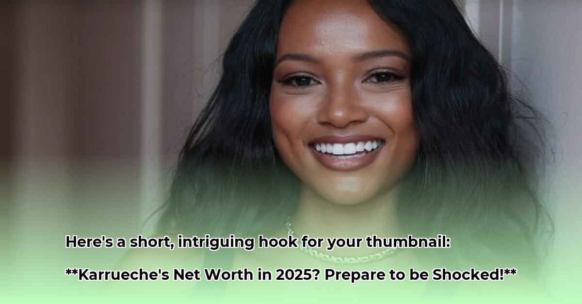 karrueche-tran-net-worth